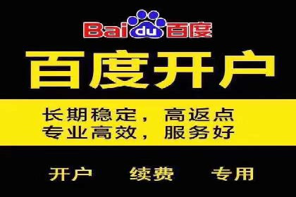 行业案例分析：sem账户托管的成功与挑战